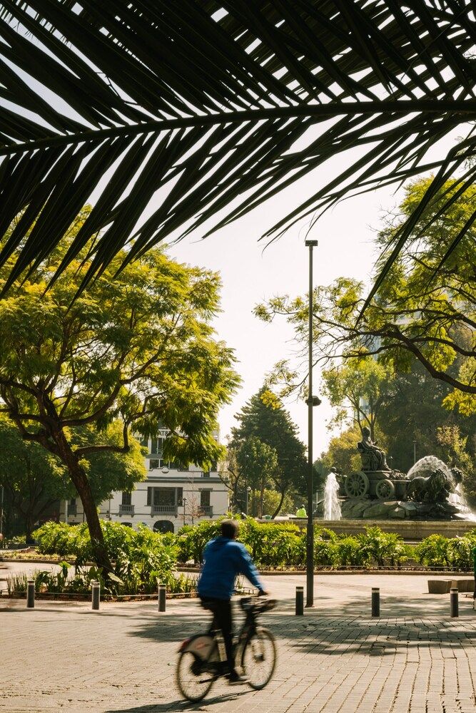 undefined Sonder Cóporo 5