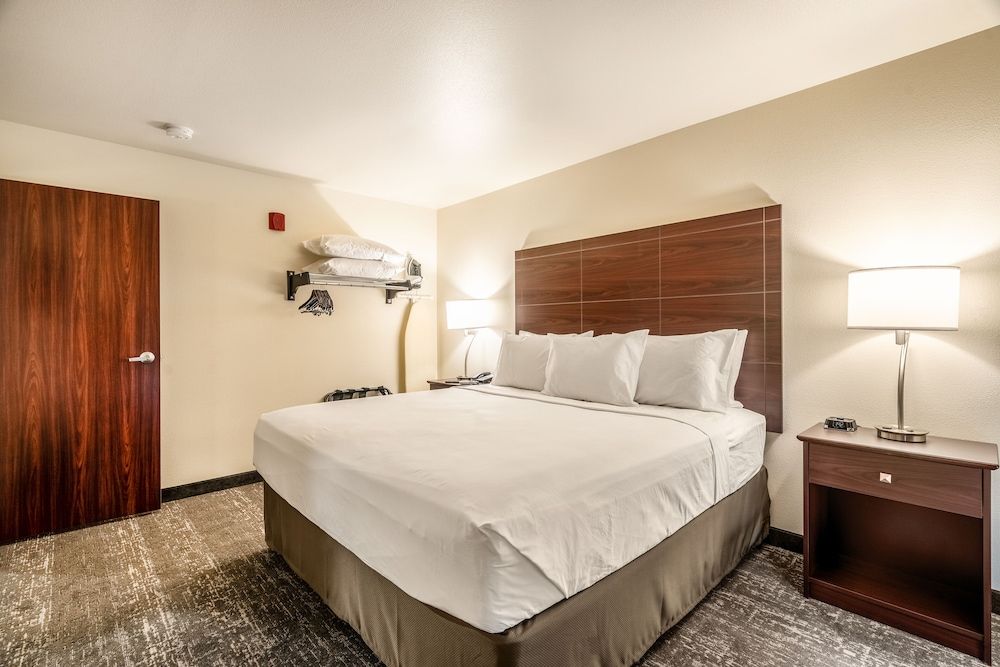 Suite, 1 King Bed with Sofa bed, Non Smoking (Audible/Visual)