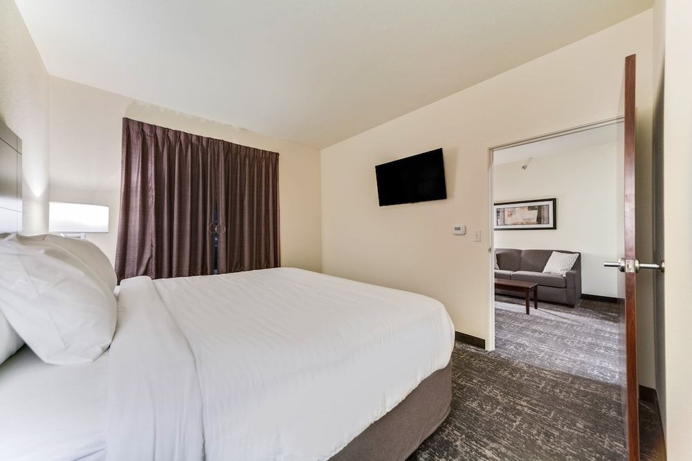 Suite, 1 King Bed with Sofa bed, Accessible, Non Smoking