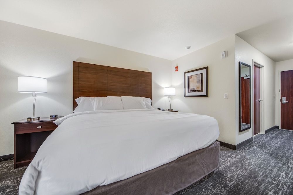 Room, 1 King Bed, Non Smoking