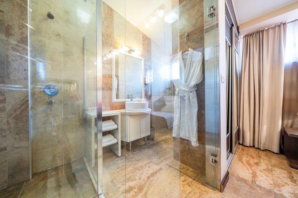 Hotel Alexandar Lux Standard Double or Twin Room 10