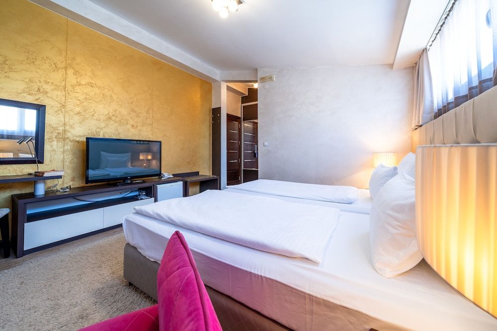 Hotel Alexandar Lux Standard Double or Twin Room 7