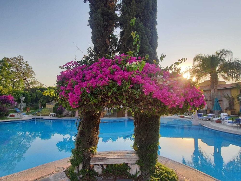 Junior Quadruple Room, 2 Double Beds, Pool View