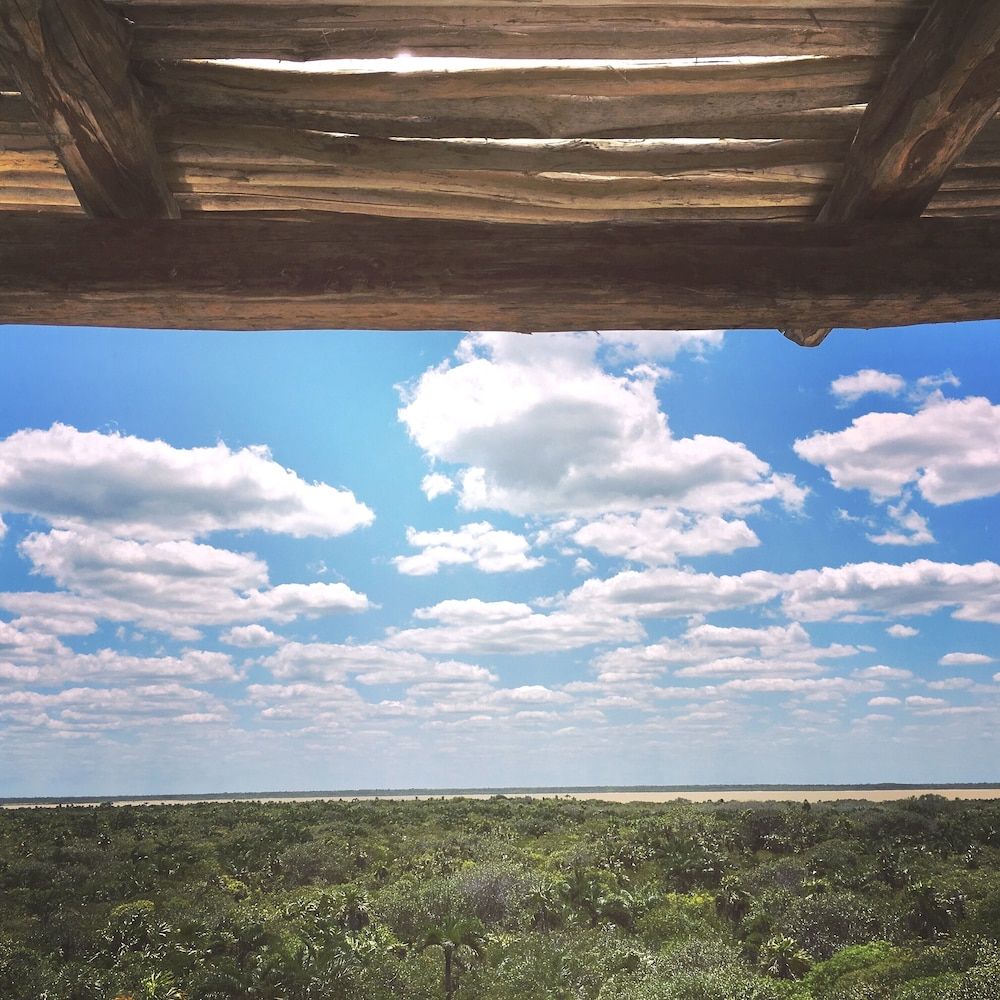 LunArena Barefoot Comfort Luna Selva amplia terraza vista selva 7