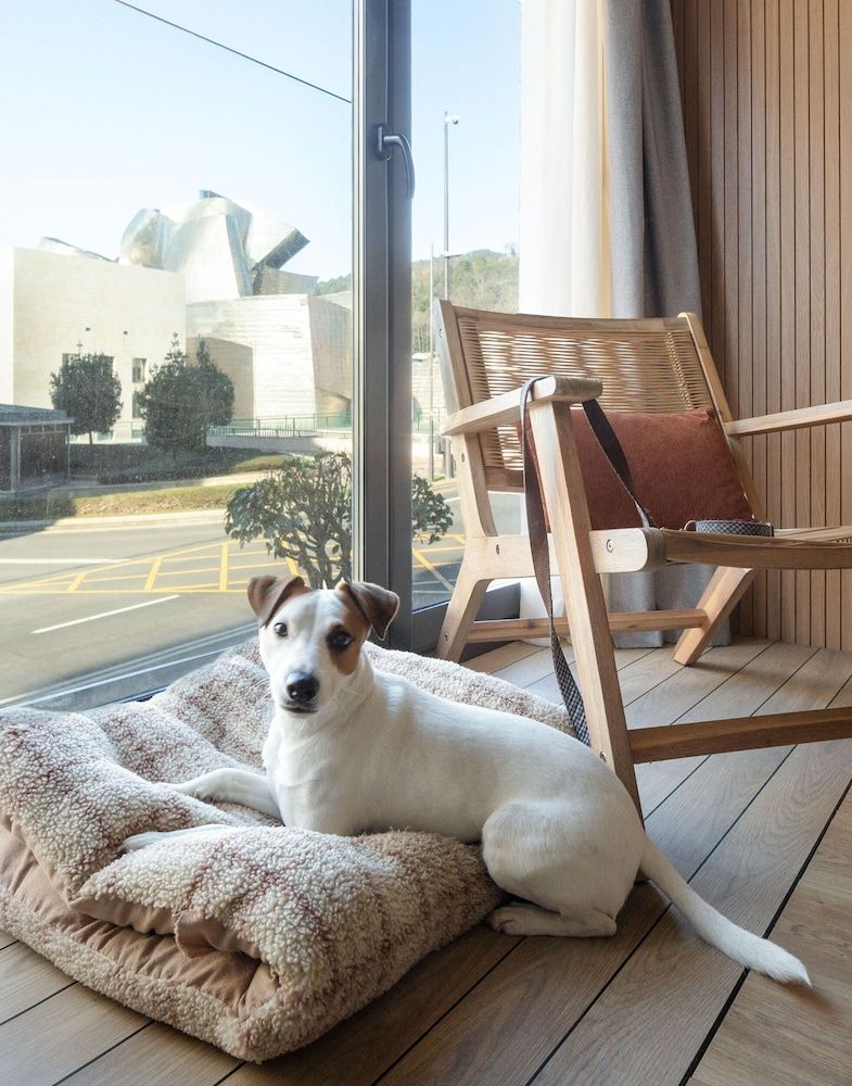 Apartamentos Líbere Bilbao Museo Studio 5