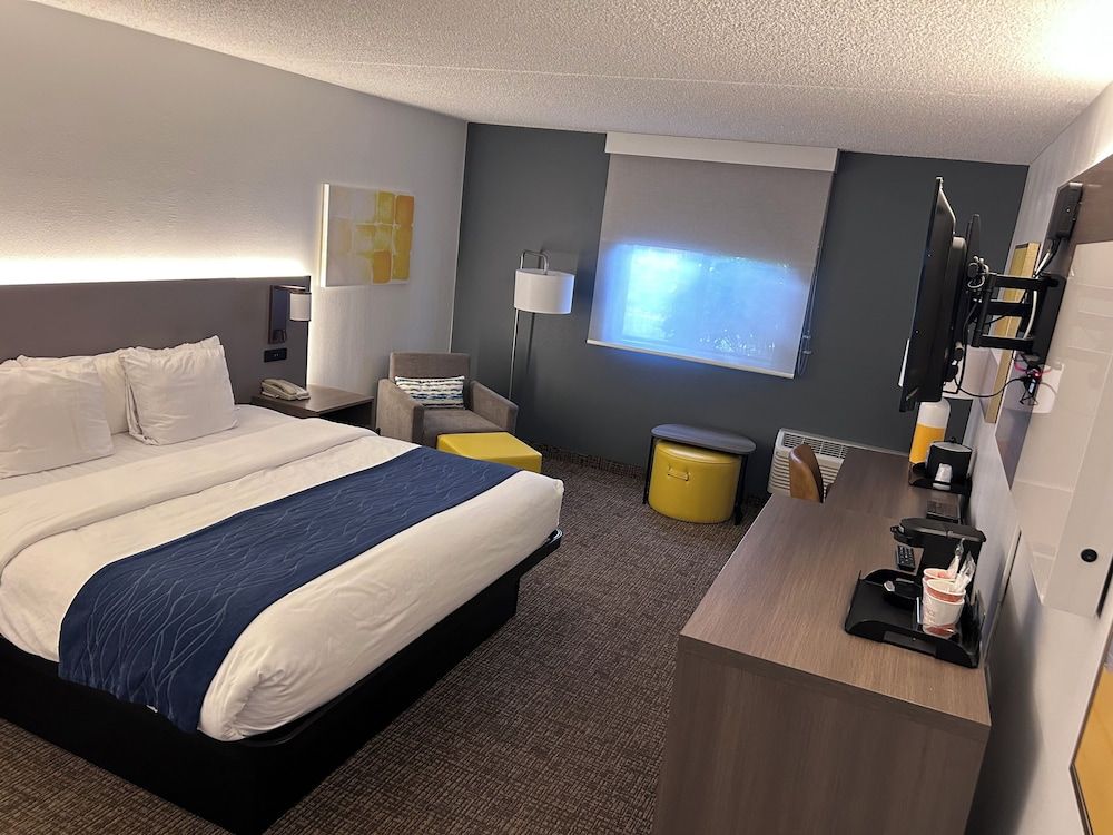 Standard Room, 1 King Bed, Non Smoking