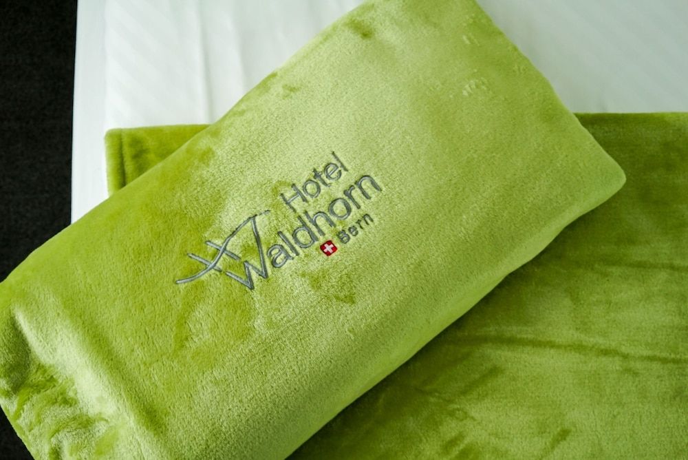 undefined Hotel Waldhorn 10