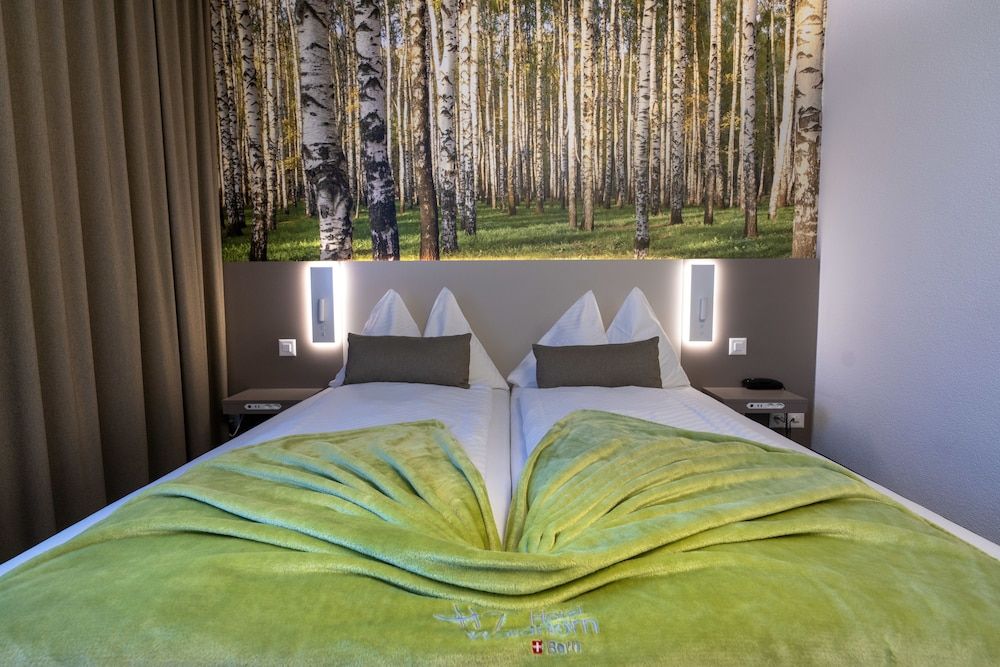 undefined Hotel Waldhorn 7