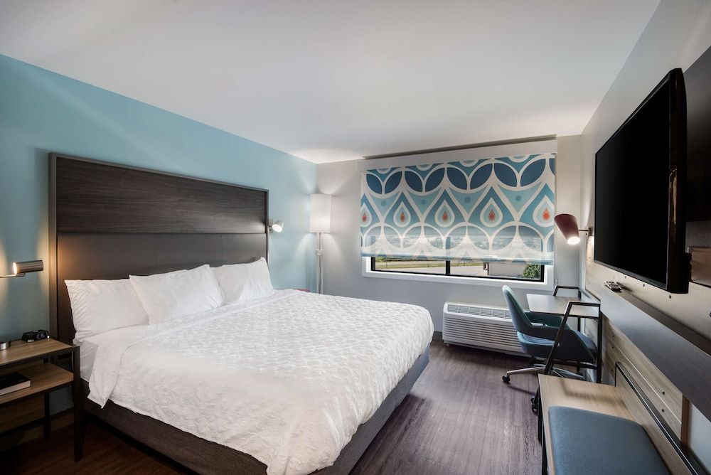 Room, 1 King Bed