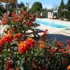 Hotel Sa Carrotja - Adults Only