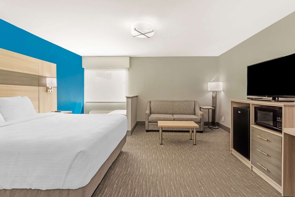 Suite, 1 King Bed, Non Smoking, Refrigerator & Microwave (with Sofabed)
