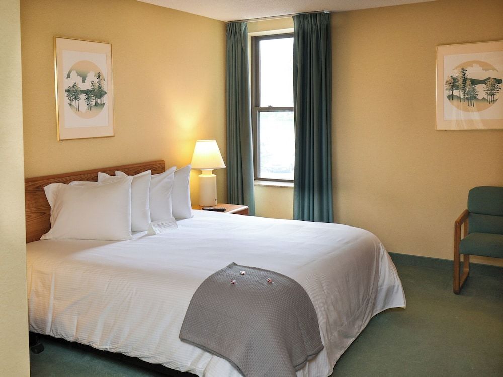 Standard Single Room, 1 King Bed