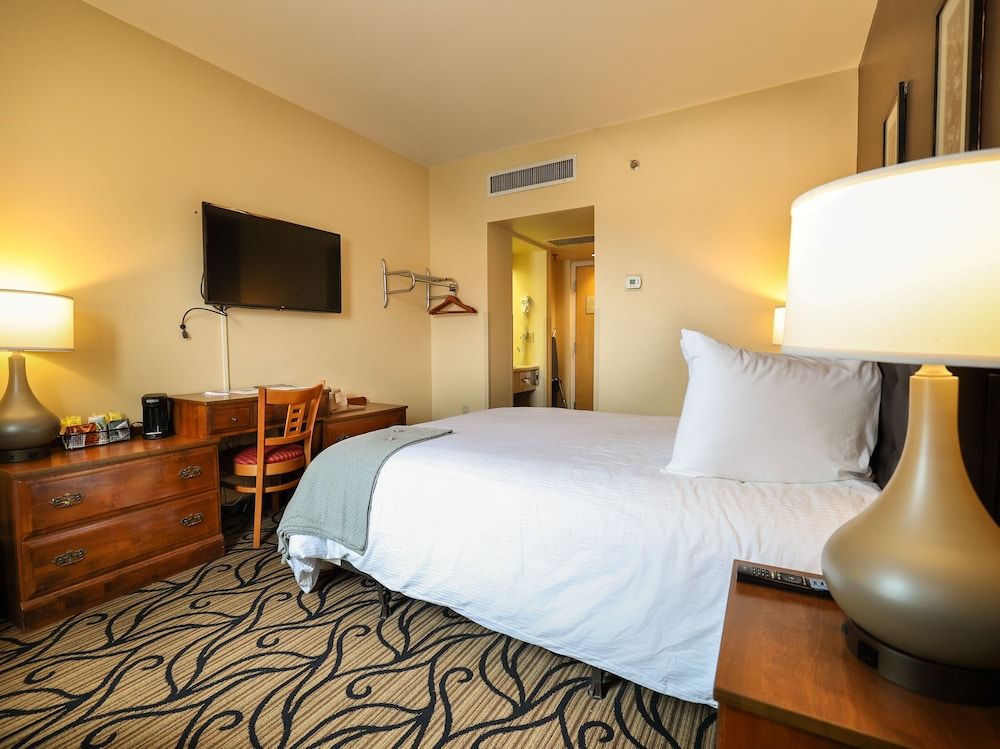 Standard Single Room, 1 Queen Bed