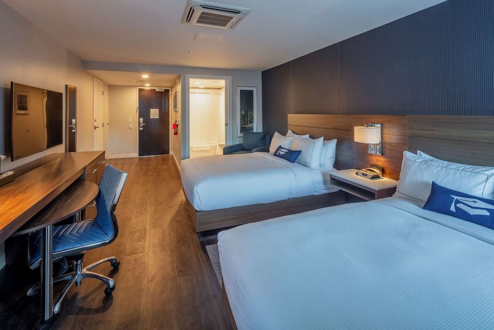 undefined Scholar State College, Tapestry Collection by Hilton 3