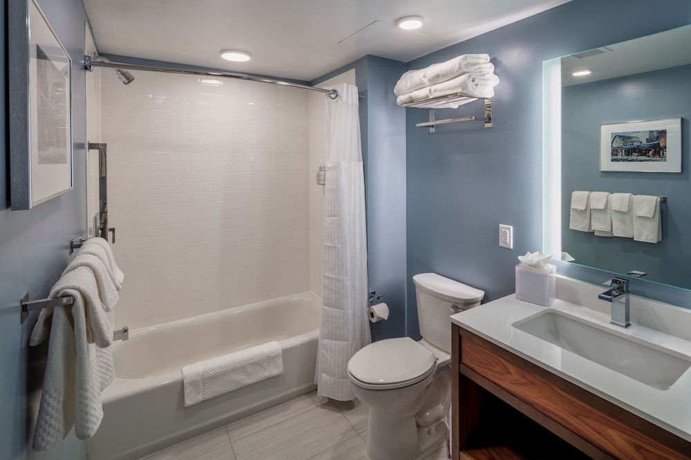 undefined Scholar State College, Tapestry Collection by Hilton 8