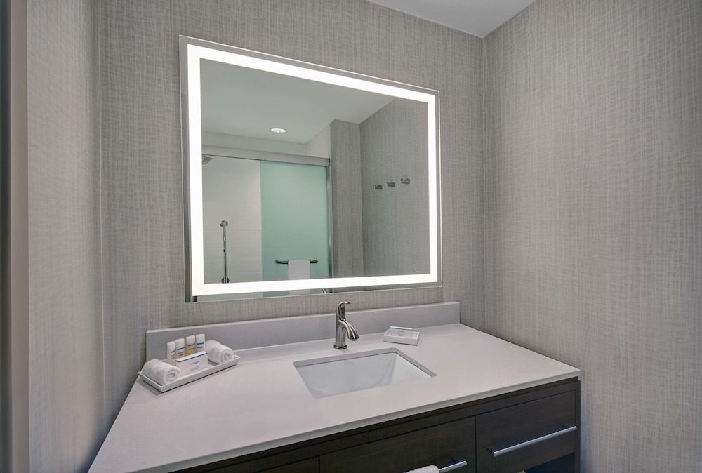 Suite, 1 King Bed (Roll-In Shower)