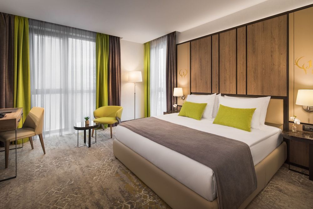 Hotel Jägerhof Standard Double Room