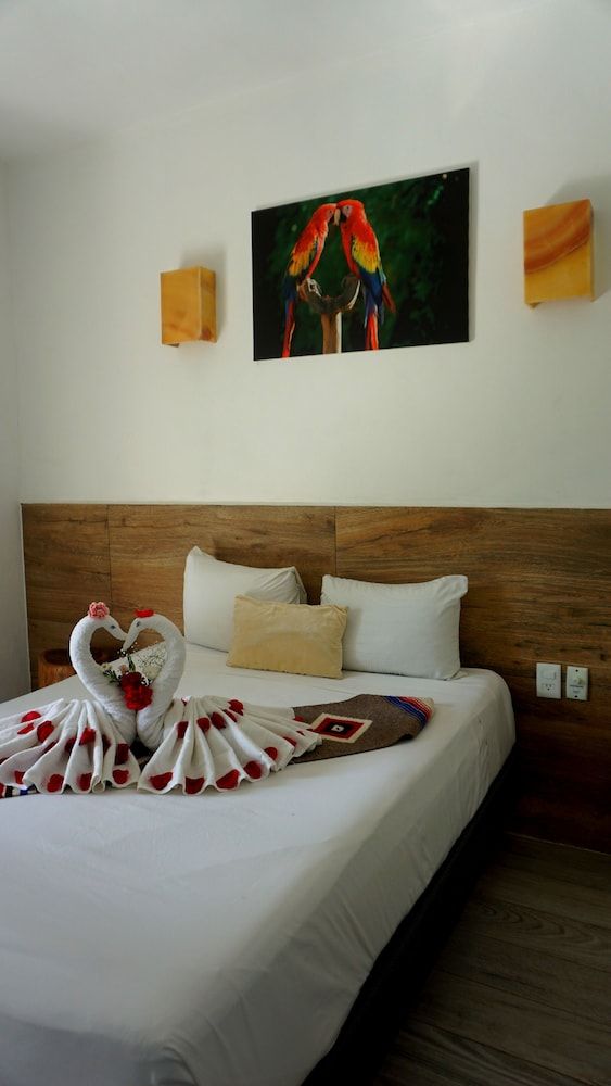 undefined Selva y Mar Apart Hotel - 5Th. Ave 3