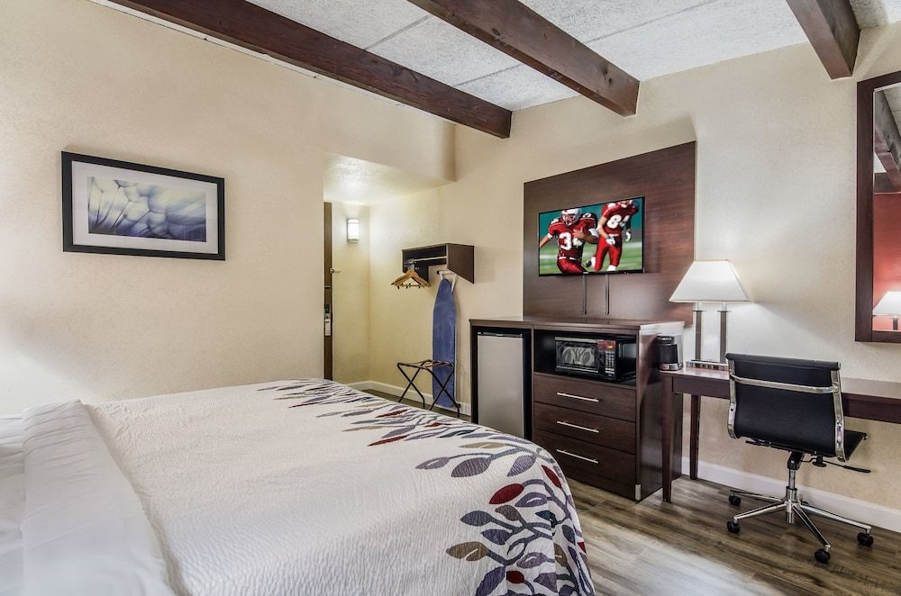 Superior Room, 1 King Bed, Non Smoking (Shower Only)
