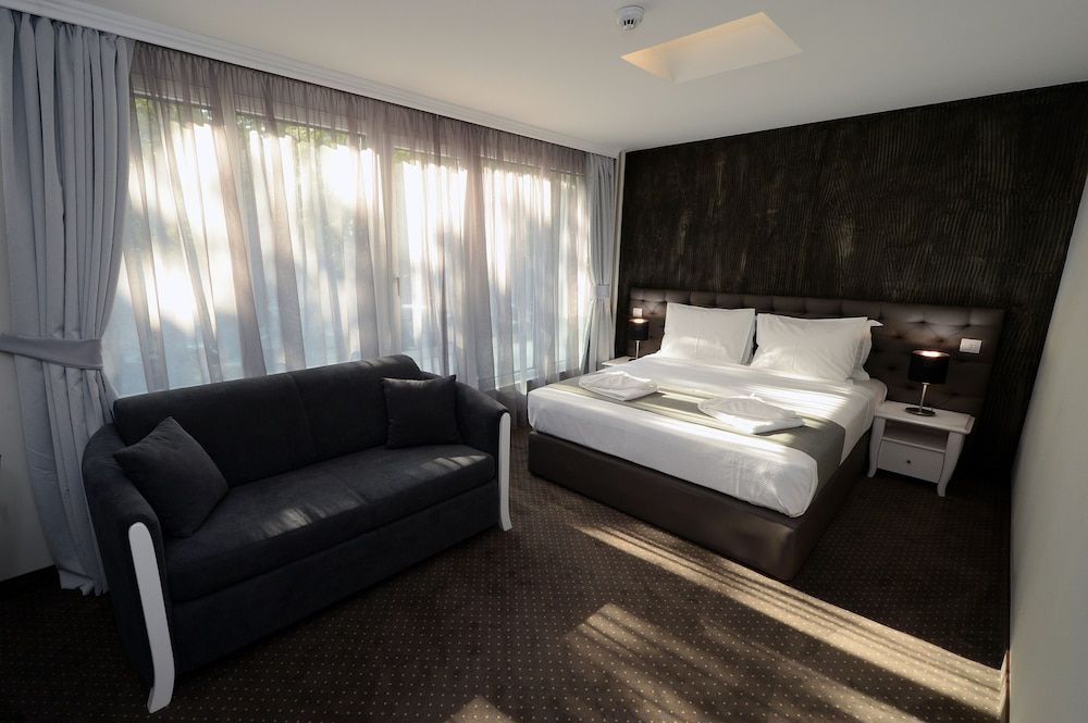 Hotel Alexandar II Deluxe Double or Twin Room 3