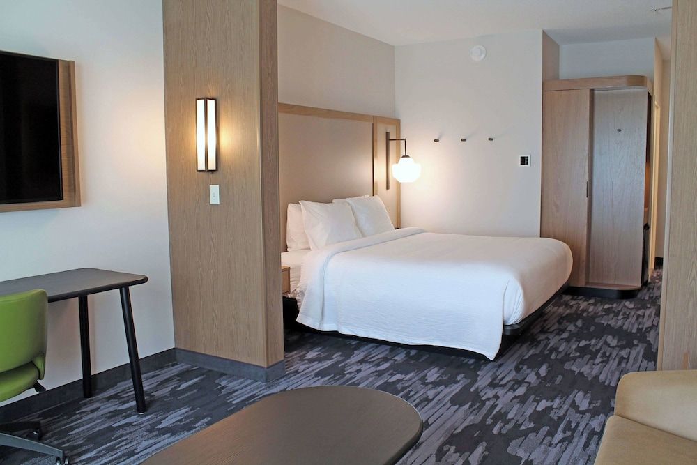 Suite, 1 King Bed with Sofa bed