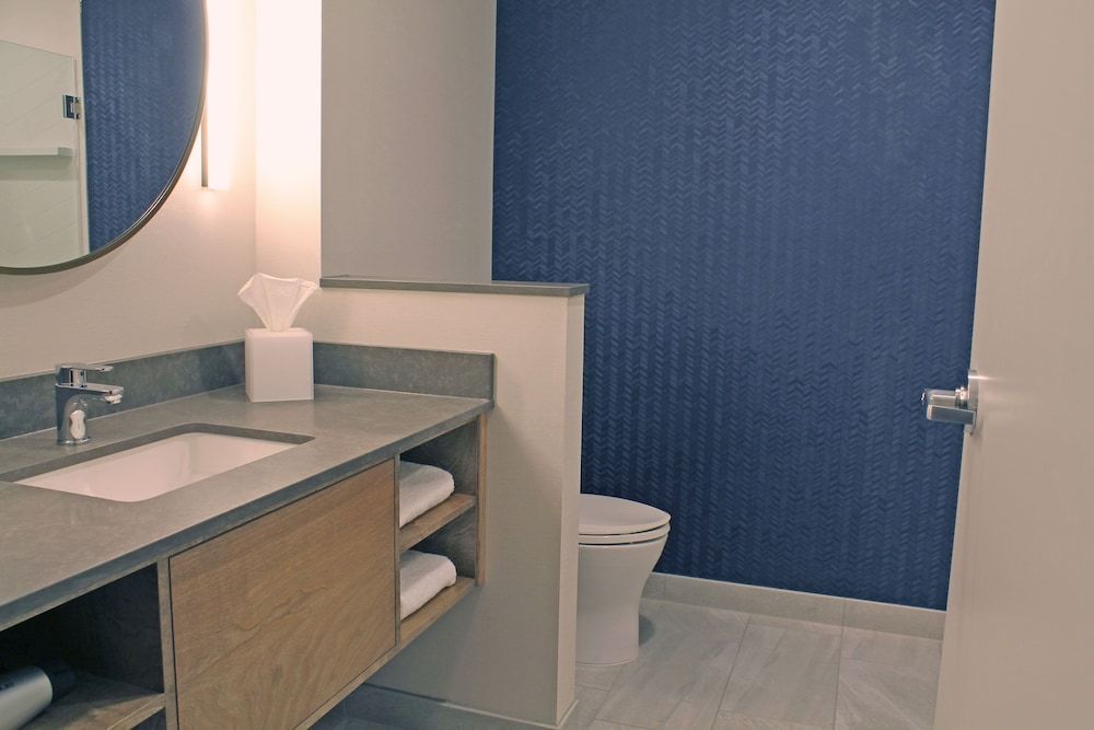 Room, 1 King Bed (Mobility/Hearing Access, Roll-In Shwr)