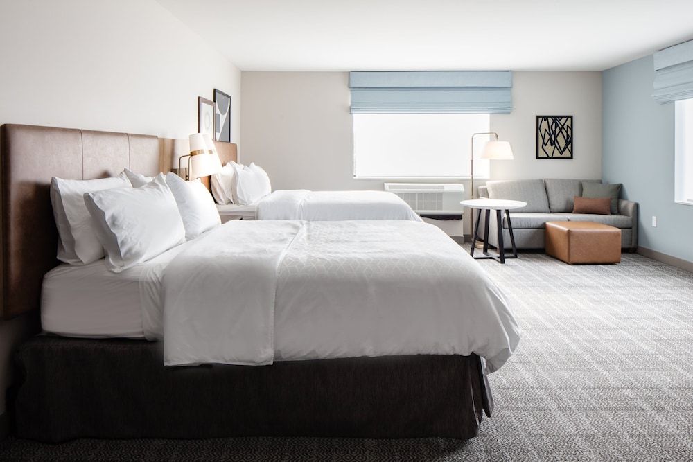Suite, 1 Bedroom, Kitchen
