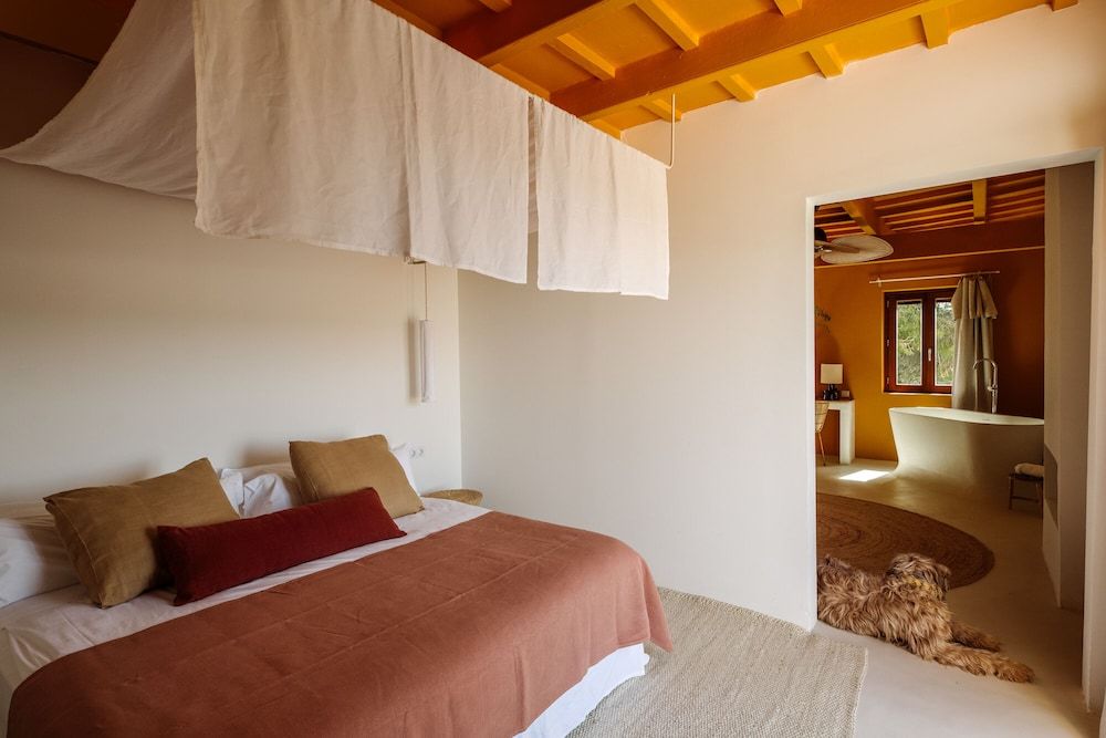 Superior Suite, Terrace