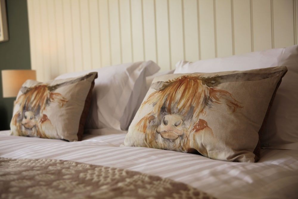 The Erskine Arms Deluxe Double Room, 1 King Bed 6