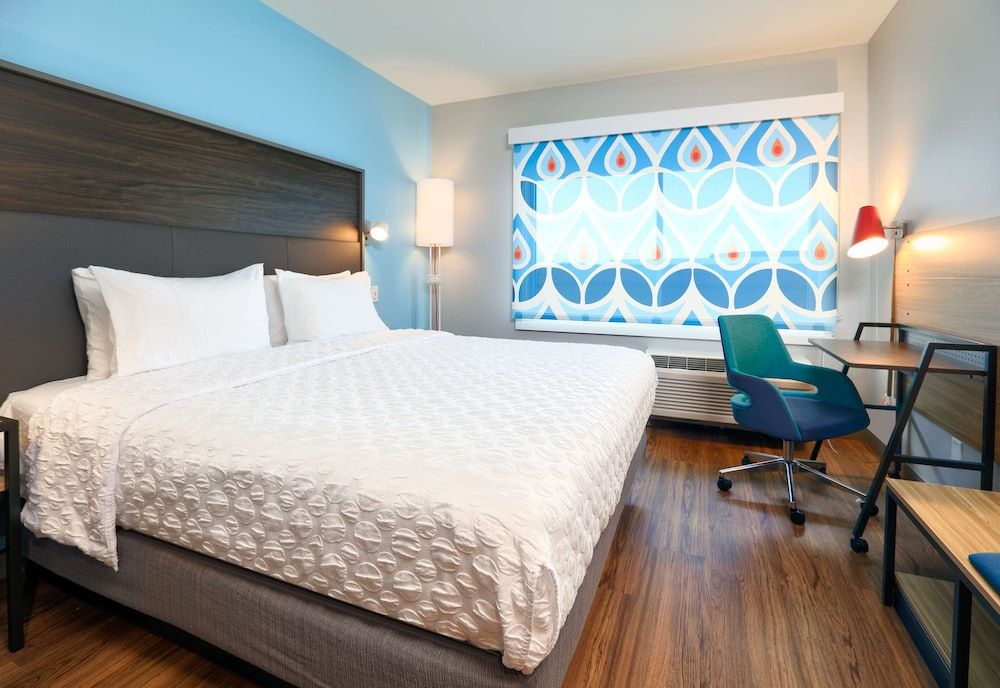 Room, 1 King Bed