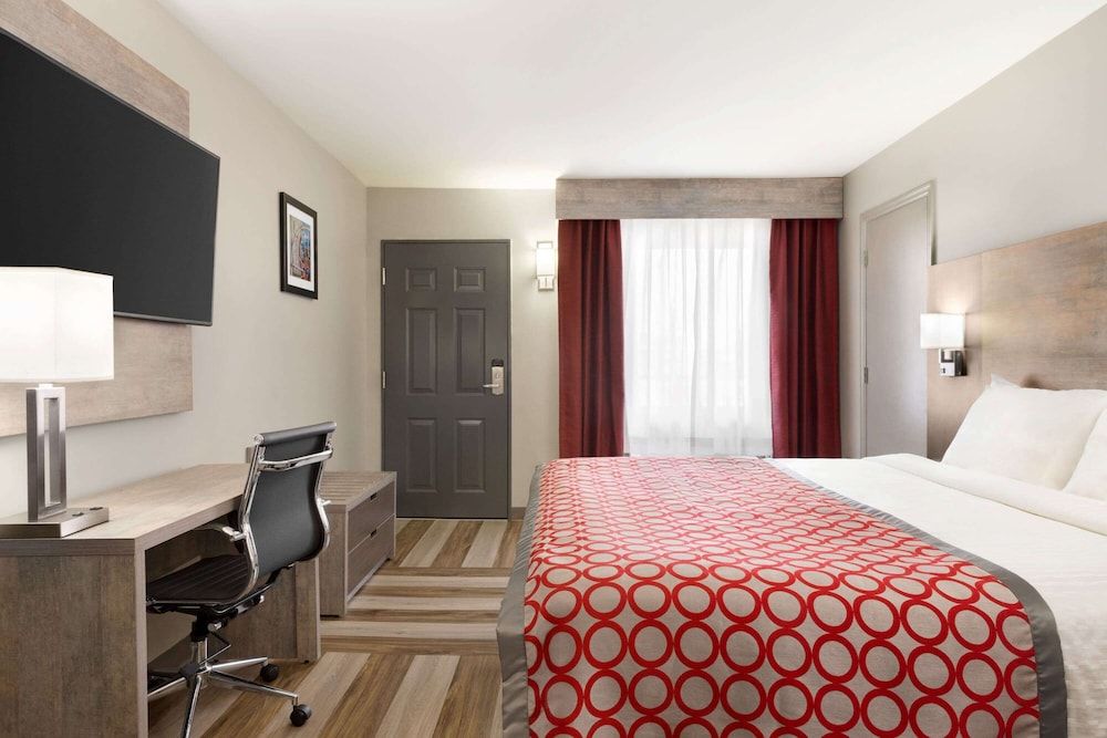 Room, 1 King Bed, Non Smoking