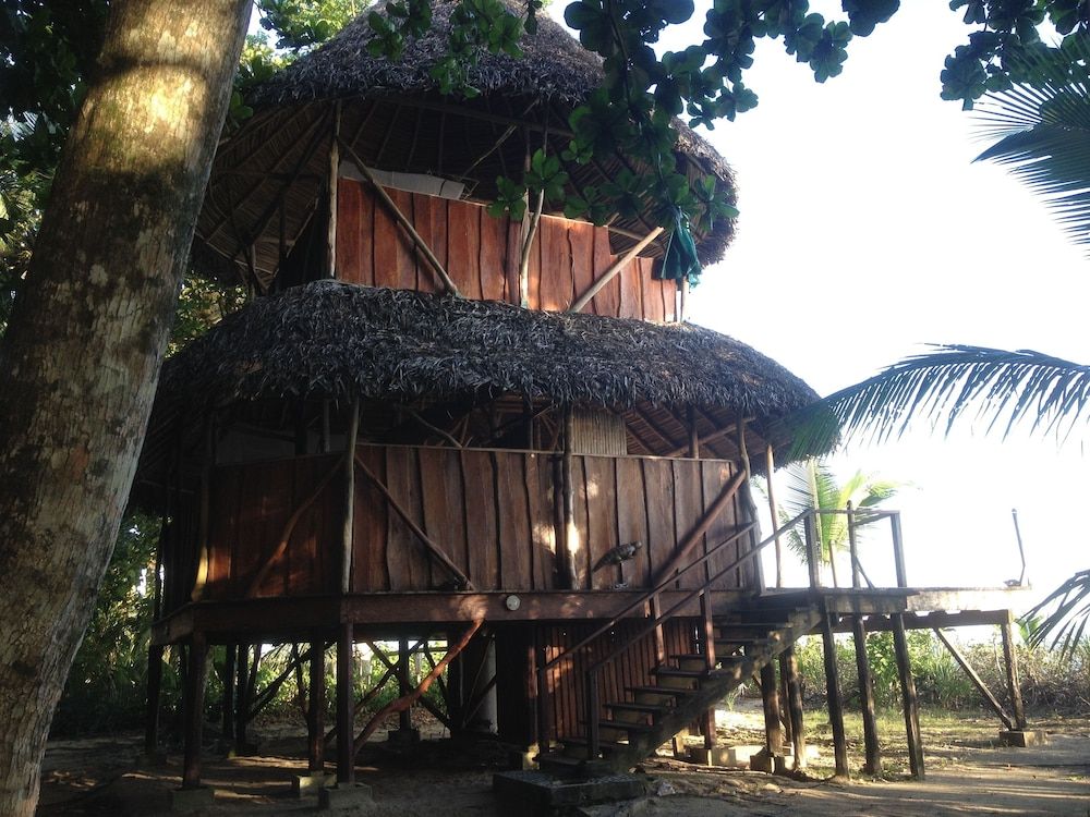 Two Story Superior Natural House