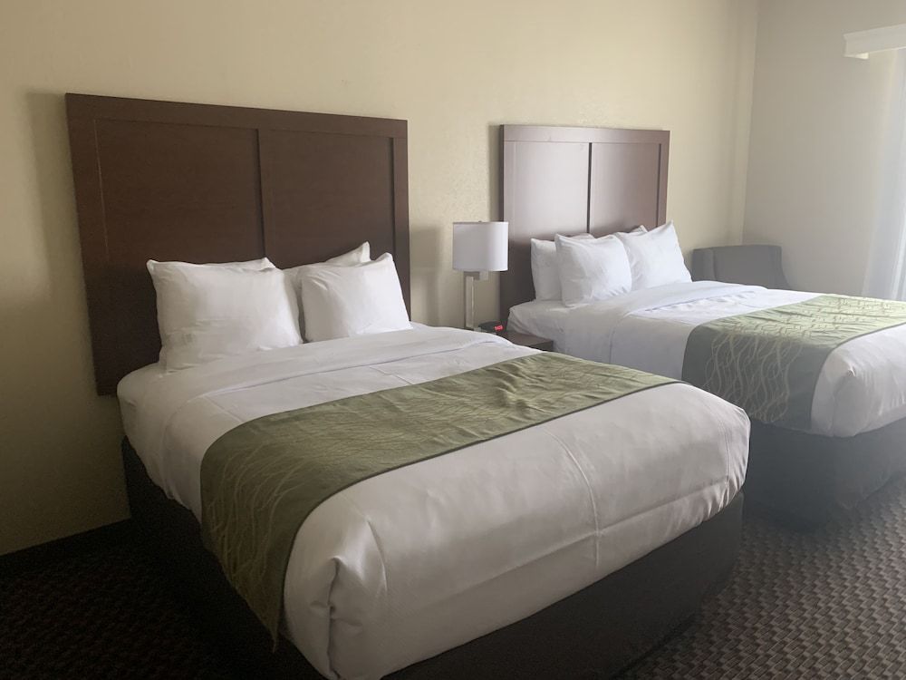 Standard Room, 1 King Bed, Non Smoking