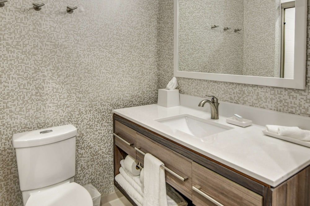 Suite, 1 King Bed, Accessible (Mobility & Hearing, Roll-in Shower)