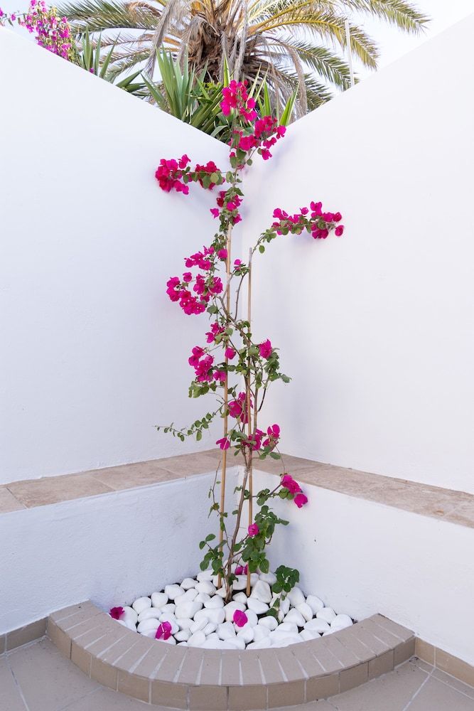 DS Traditional Villas Santorini Island Exclusive Villa, 1 Bedroom (2) 36