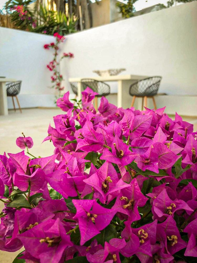 DS Traditional Villas Santorini Island Exclusive Villa, 1 Bedroom (2) 21