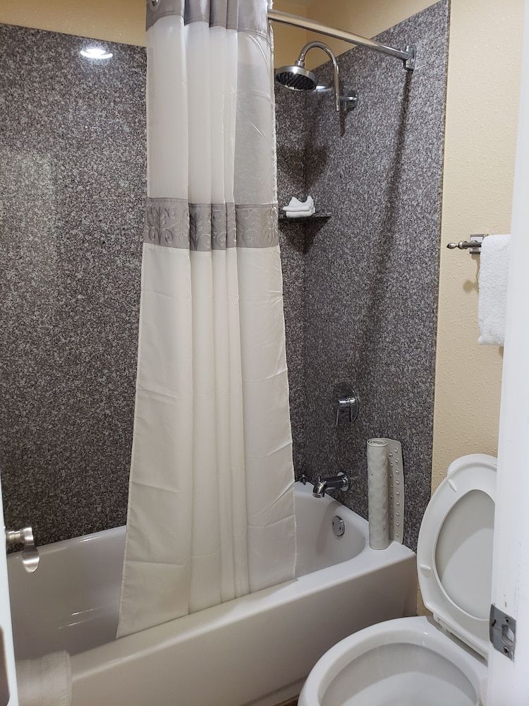 Standard Single Room, 1 King Bed