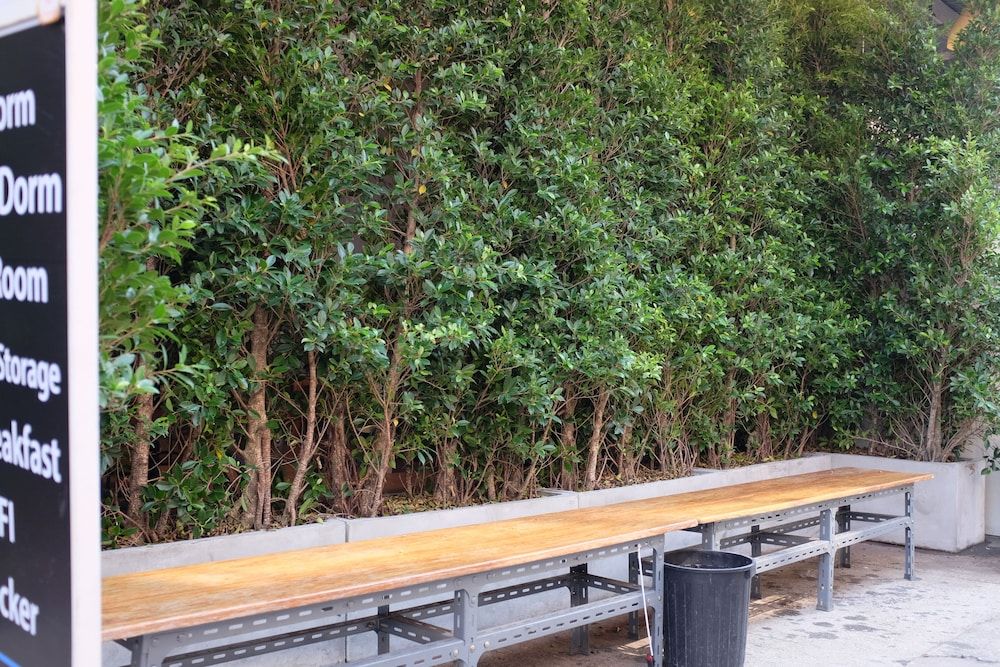 undefined Ploy Hostel