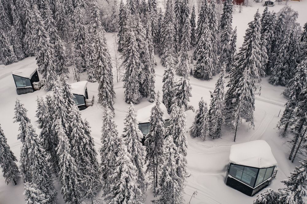 Magical Pond Nature Igloos Nature Igloo 13