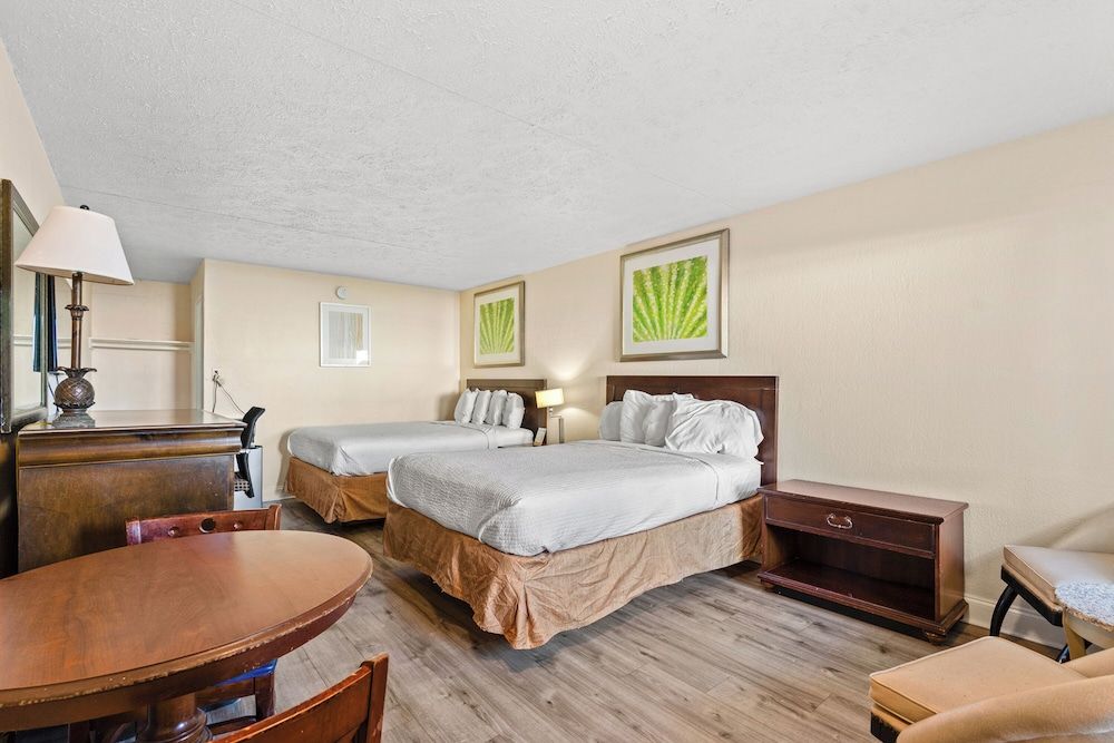 Studio, 2 Queen Beds