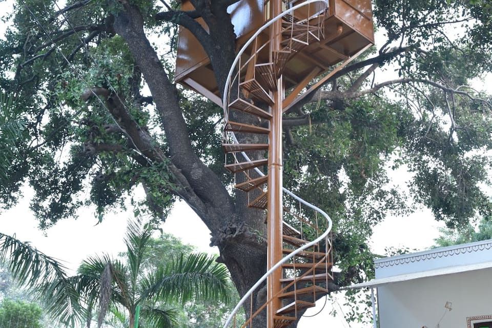 Tree House