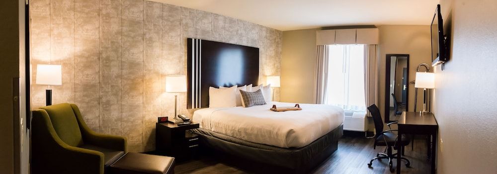 Distill-Inn Standard Single Room, 1 King Bed 7