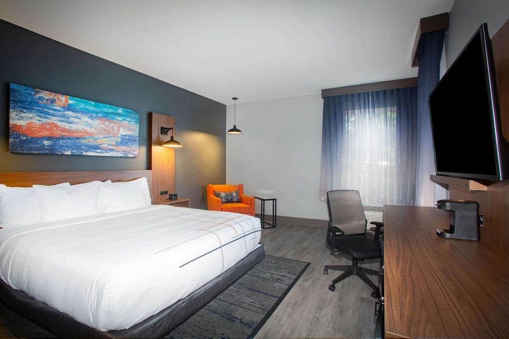 Room, 1 King Bed, Accessible, Non Smoking (Mobility/Hearing Impaired)