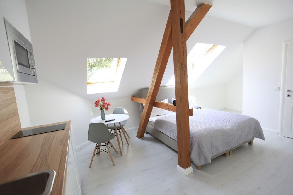 Zollikof Aparts - Sauna & Studioapartments Classic Double Room, 1 Queen Bed 6