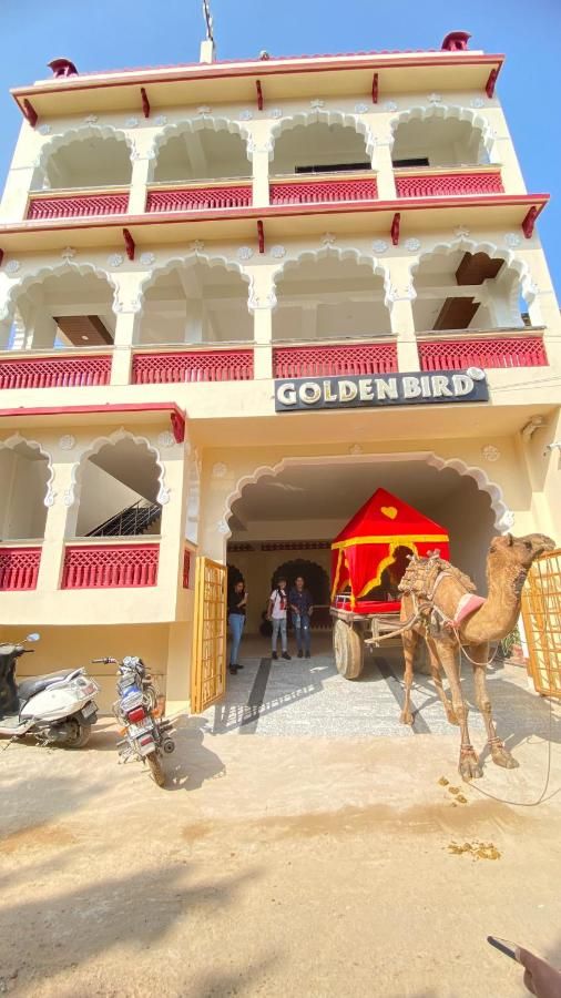 undefined One Light At Golden Bird 2