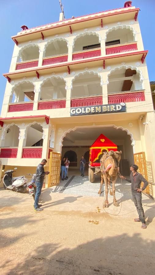 undefined One Light At Golden Bird 4