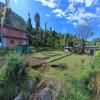 Chopta Eco Cottage & Camping