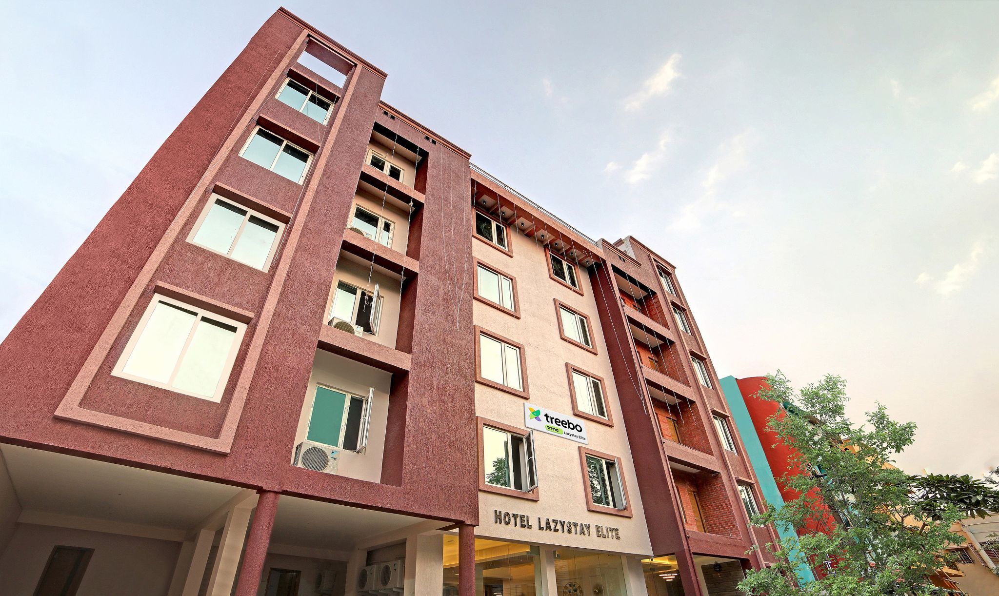 undefined Treebo Lazystay Elite 8