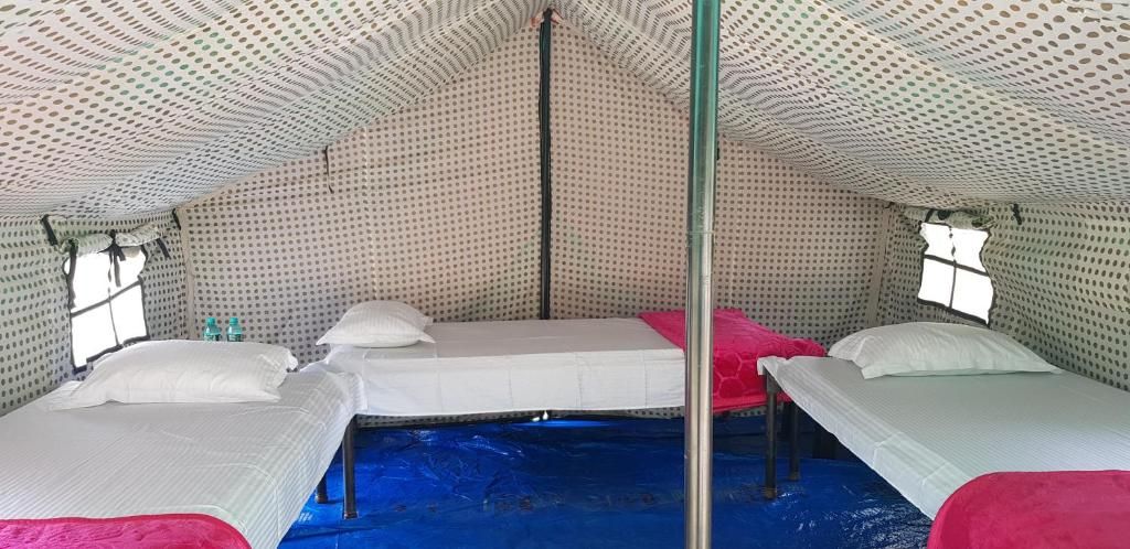 The Raajas - Camp & Resorts Raajas Tent