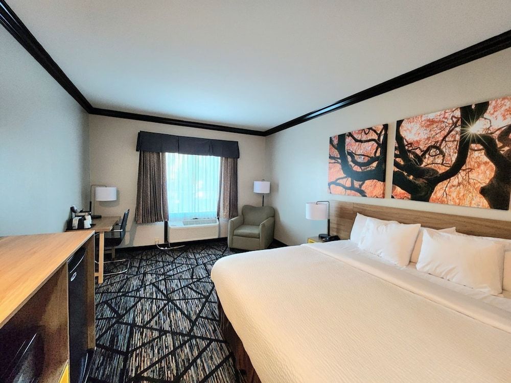 Room, 1 King Bed, Non Smoking